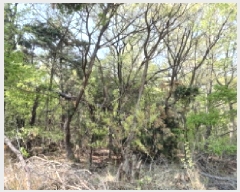  2025Ÿ��41603 ��� ���ý� ������ ��õ�� ��48-1      ����(�Ӿ�)���