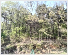  2025Ÿ��41603 ��� ���ý� ������ ��õ�� ��48-1      ����(�Ӿ�)���