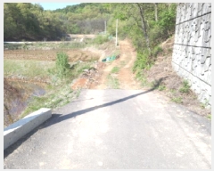  2025Ÿ��41603 ��� ���ý� ������ ��õ�� ��48-1      ����(�Ӿ�)���