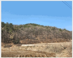  2025Ÿ��41603 ��� ���ý� ������ ��õ�� ��48-1      ����(�Ӿ�)���