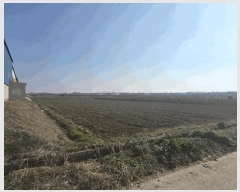  2025Ÿ��41691 ��� ���ý� ������ ��� 777-11      ����(��)���