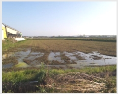  2025Ÿ��41691 ��� ���ý� ������ ��� 777-11      ����(��)���