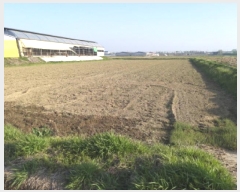  2025Ÿ��41691 ��� ���ý� ������ ��� 777-11      ����(��)���