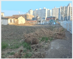  2025Ÿ��41711  �������