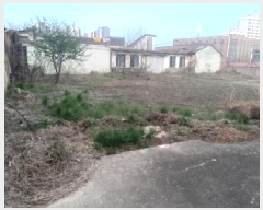  2025Ÿ��41711  �������