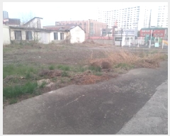  2025Ÿ��41711  �������