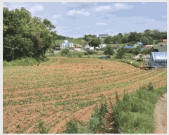  2025Ÿ��41744 ��� ���ý� ������ ������ ��125-40      ����(�Ӿ�)���