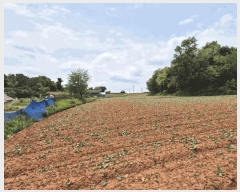  2025Ÿ��41744 ��� ���ý� ������ ������ ��125-40      ����(�Ӿ�)���