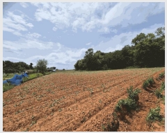  2025Ÿ��41744 ��� ���ý� ������ ������ ��125-40      ����(�Ӿ�)���