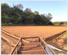  2025Ÿ��41744 ��� ���ý� ������ ������ ��125-40      ����(�Ӿ�)���