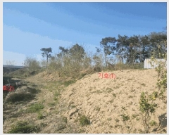  2025Ÿ��41776 ��� ���ý� �׹鵿 108-16       ����(�Ӿ�)���