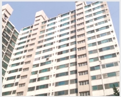  2025Ÿ��41783  ����Ʈ���