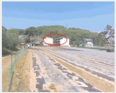  2025Ÿ��41791  ���ð��