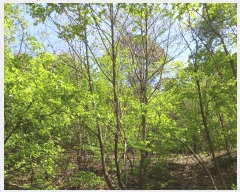  2025Ÿ��41799 ��� �ȼ��� �׻�� �뼳�� ��106-7      ����(�Ӿ�)���