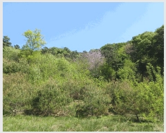  2025Ÿ��41799 ��� �ȼ��� �׻�� �뼳�� ��106-7      ����(�Ӿ�)���