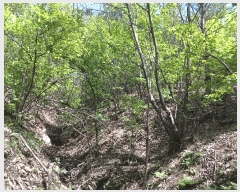  2025Ÿ��41799 ��� �ȼ��� �׻�� �뼳�� ��106-7      ����(�Ӿ�)���