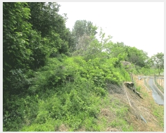  2025Ÿ��41849 ��� ���ý� ������ ��� 587      ����(��1)���