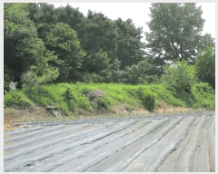  2025Ÿ��41849 ��� ���ý� ������ ��� 587      ����(��1)���