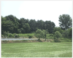  2025Ÿ��41849 ��� ���ý� ������ ��� 587      ����(��1)���