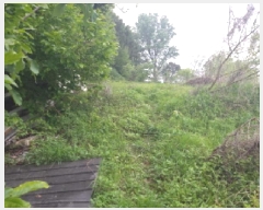  2025Ÿ��41849 ��� ���ý� ������ ��� 587      ����(��1)���