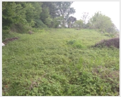  2025Ÿ��41849 ��� ���ý� ������ ��� 587      ����(��1)���