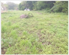  2025Ÿ��41849 ��� ���ý� ������ ��� 587      ����(��1)���