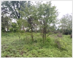  2025Ÿ��41849 ��� ���ý� ������ ��� 587      ����(��1)���