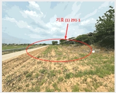  2025Ÿ��41863 ��� ���ý� �ؼ��� �Ŵ븮 291-1      ����(��1)���