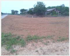  2025Ÿ��41863 ��� ���ý� �ؼ��� �Ŵ븮 291-1      ����(��1)���