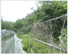  2025Ÿ��41871  ����