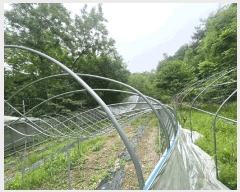  2025Ÿ��41871  ����