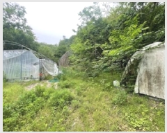  2025Ÿ��41871  ����