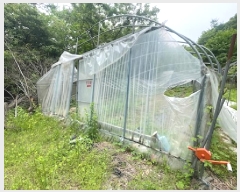  2025Ÿ��41871  ����