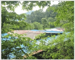  2025Ÿ��41880 ��� �ȼ��� �缺�� ������ ��38-2      ����(�Ӿ�)���