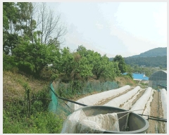  2025Ÿ��41880 ��� �ȼ��� �缺�� ������ ��38-2      ����(�Ӿ�)���