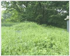  2025Ÿ��41880 ��� �ȼ��� �缺�� ������ ��38-2      ����(�Ӿ�)���