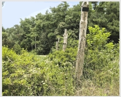  2025Ÿ��41940 ��� �ȼ��� ����� �ŷɸ� 290-4      �ܵ�����,�����ð��