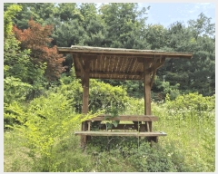  2025Ÿ��41940 ��� �ȼ��� ����� �ŷɸ� 290-4      �ܵ�����,�����ð��