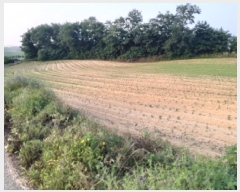  2025Ÿ��41979  �����