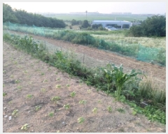  2025Ÿ��41979  �����