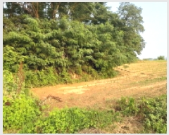  2025Ÿ��41979  �����