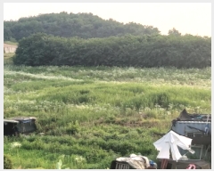  2025Ÿ��41979  �����