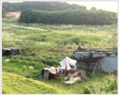  2025Ÿ��41979  �����