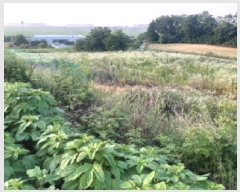  2025Ÿ��41979  �����