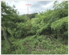  2025Ÿ��42324  �����