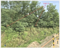  2025Ÿ��42324  �����