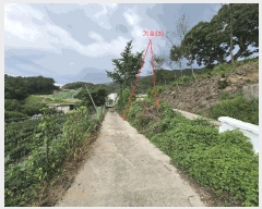  2025Ÿ��42324  �����