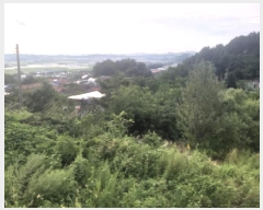  2025Ÿ��42324  �����