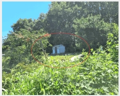  2025Ÿ��42353 ��� ���ý� ������ �α��� 279      ����(��)���