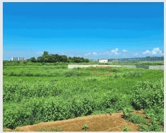  2025Ÿ��42353 ��� ���ý� ������ �α��� 279      ����(��)���